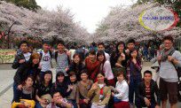 Du học Nhật bản 2017 và những điều cần lưu ý