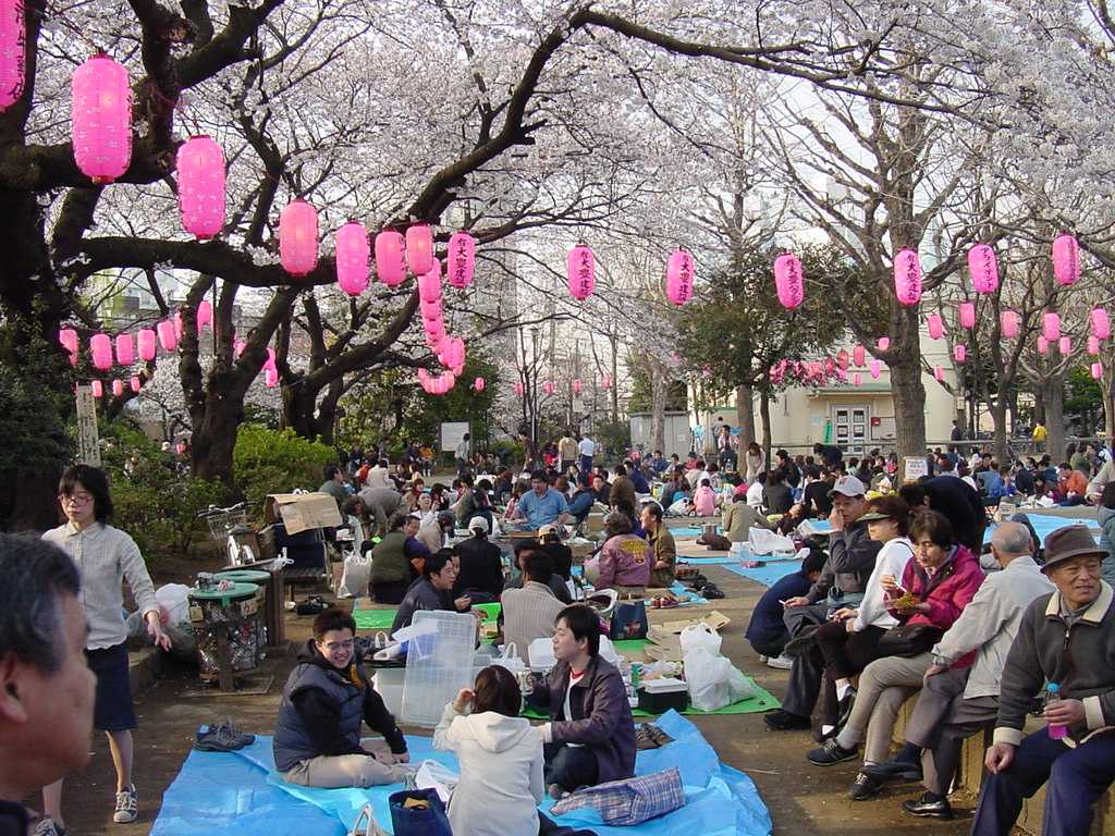 Với khí hậu quanh năm mát mẻ, Nhật Bản luôn là điểm đến lý tưởng cho những bạn trẻ có mong muốn du học